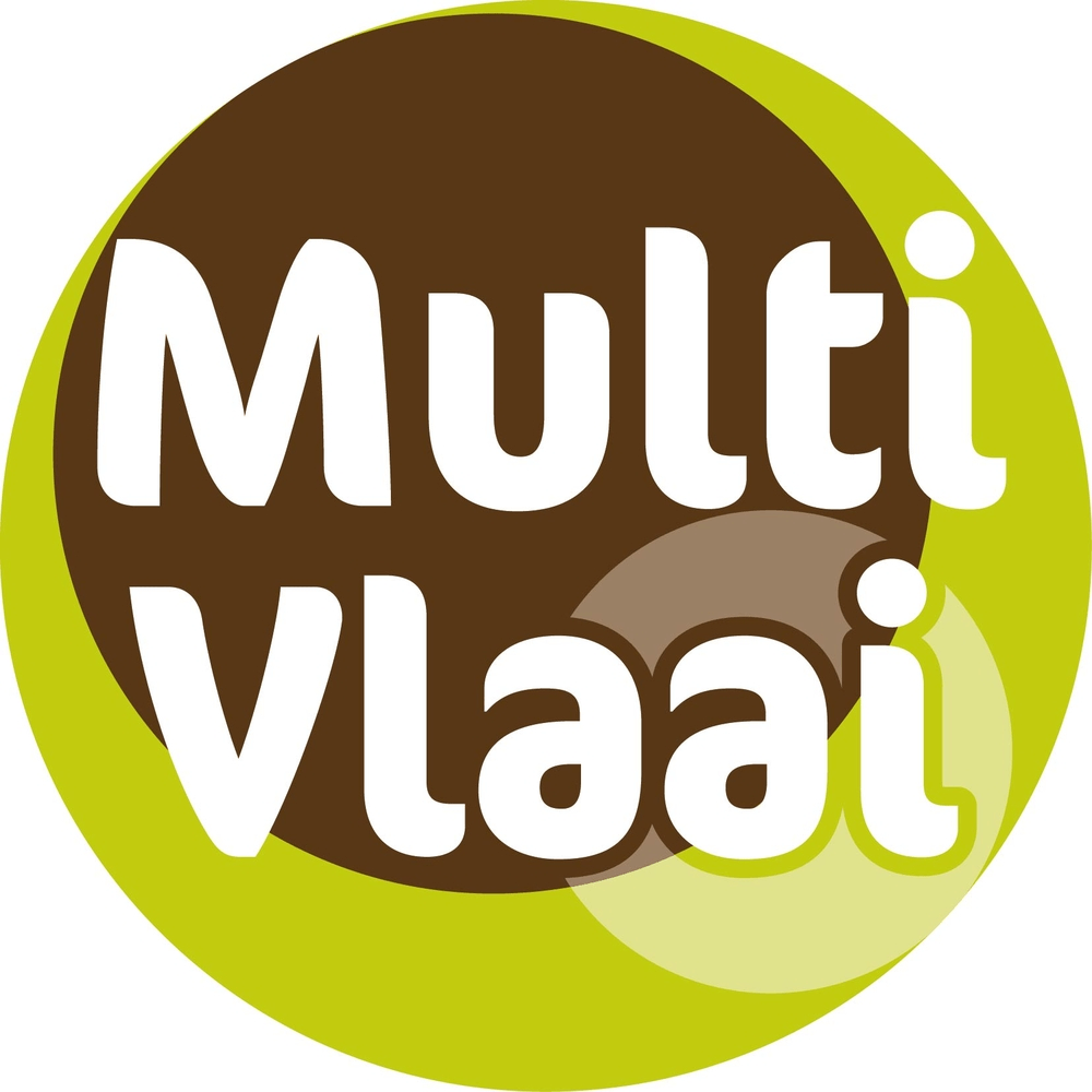 Multivlaai R'dam Zuid